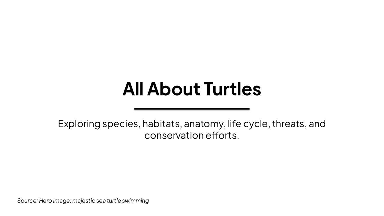 Turtles: Species, Shells & Survival