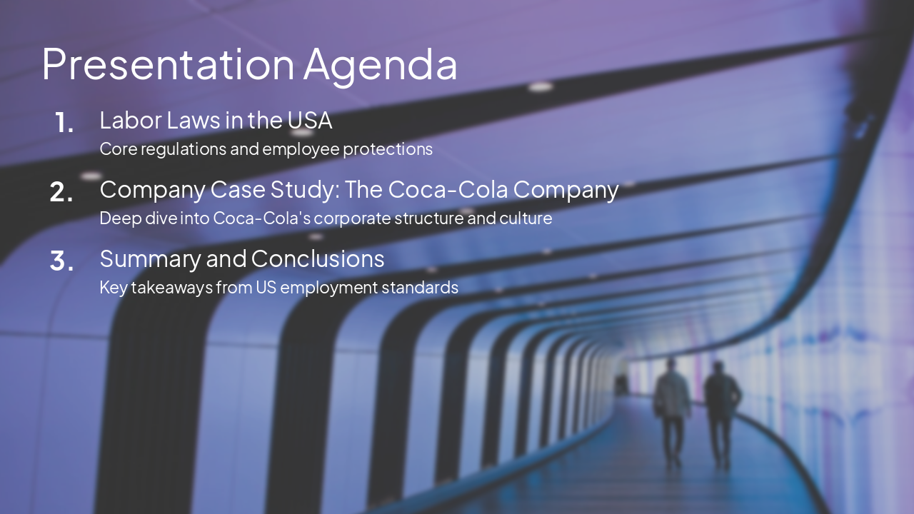 Slide 2 - Presentation Agenda