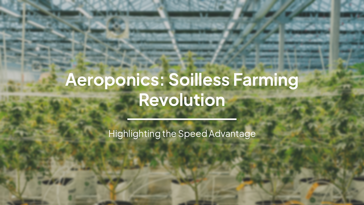 Slide 2 - Aeroponics: Soilless Farming Revolution