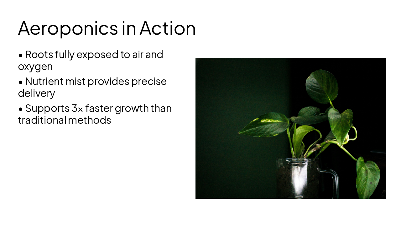 Slide 6 - Aeroponics in Action