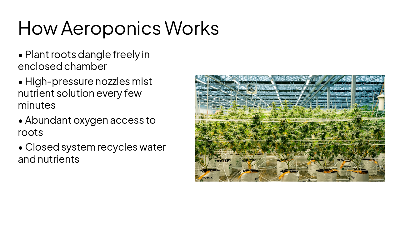 Slide 7 - How Aeroponics Works
