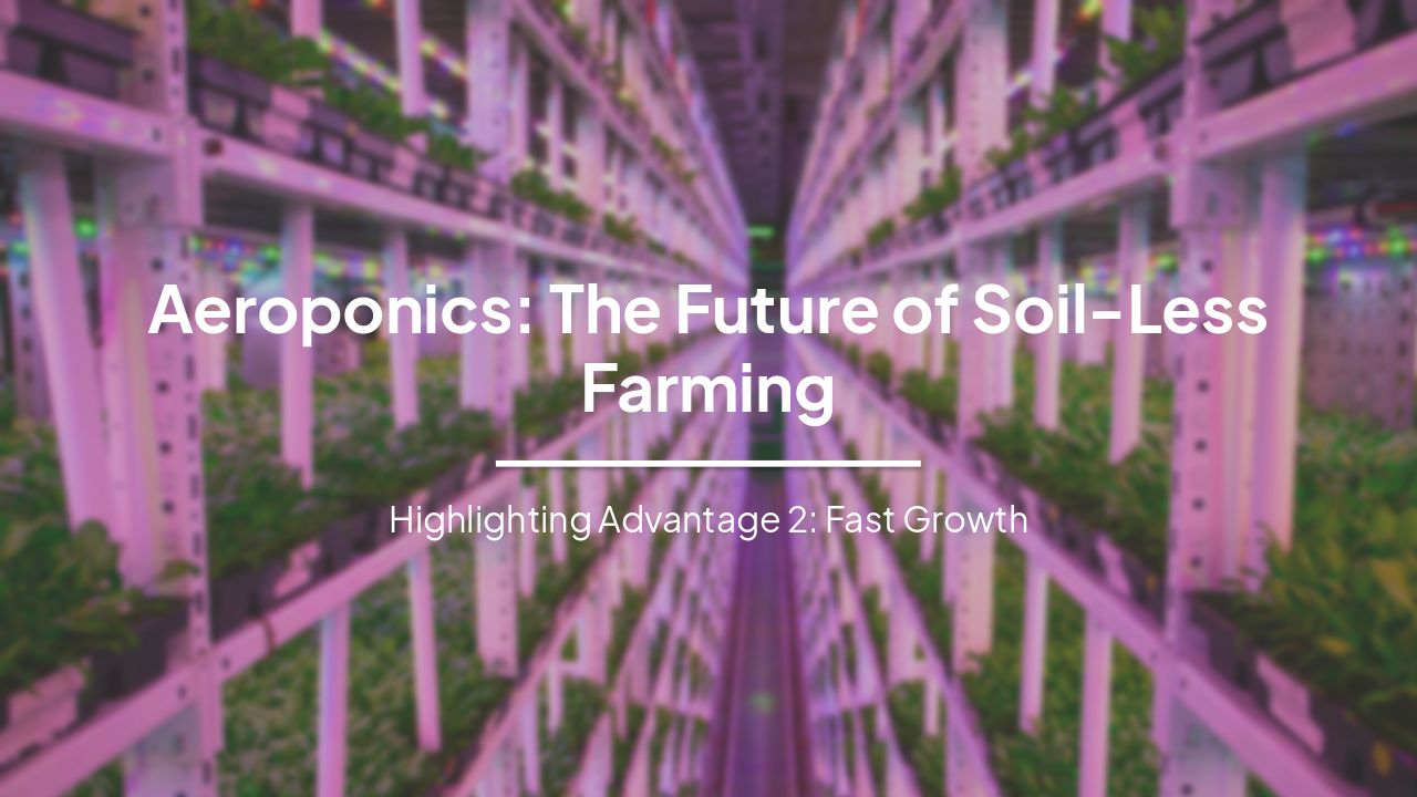Aeroponics: Revolutionizing Soil-Less Farming with Fast Growth