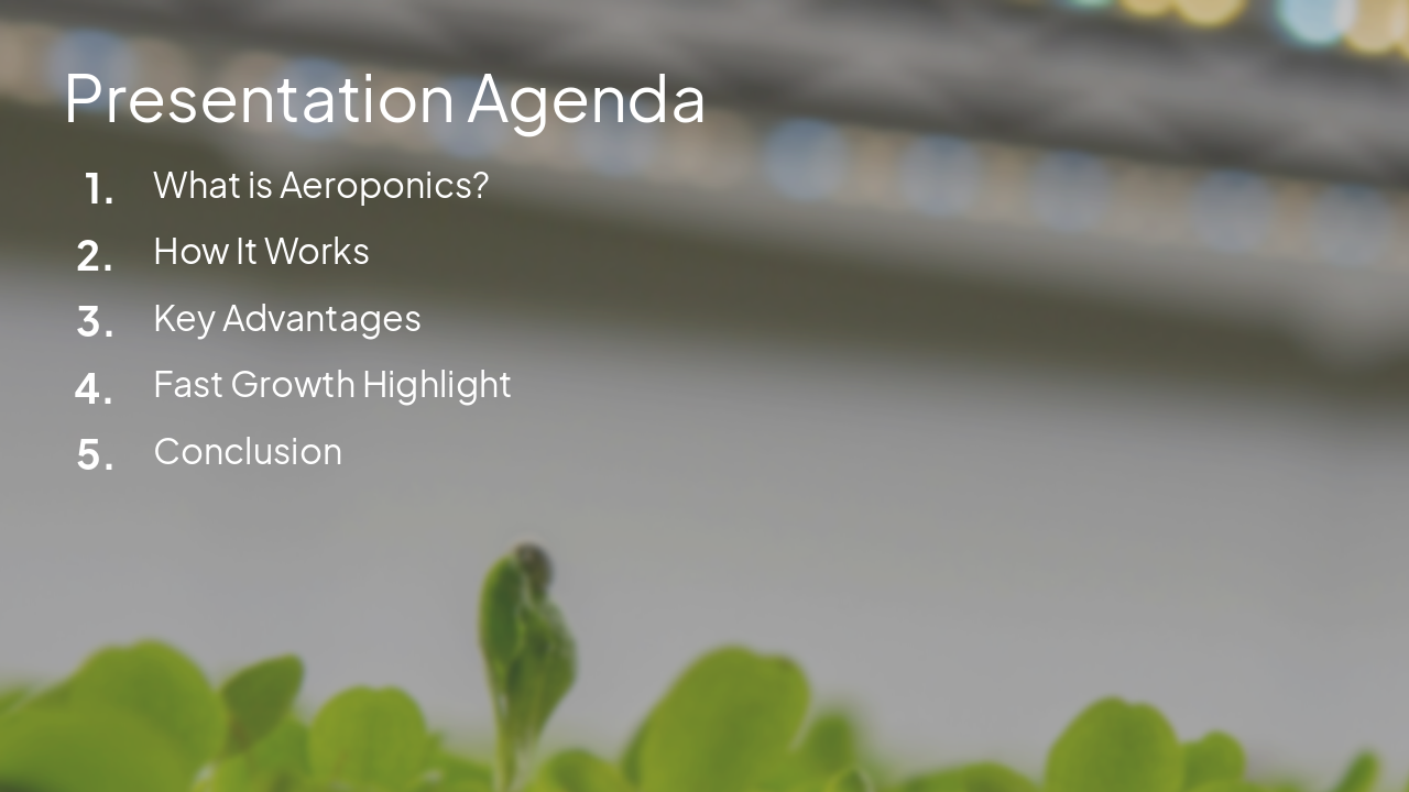 Slide 4 - Presentation Agenda