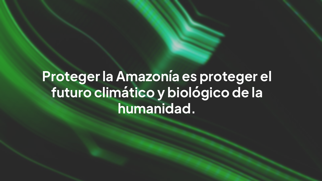 Slide 6 - Conclusión