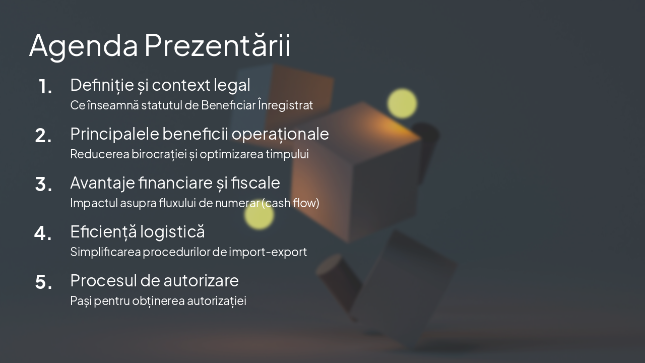 Slide 4 - Agenda Prezentării
