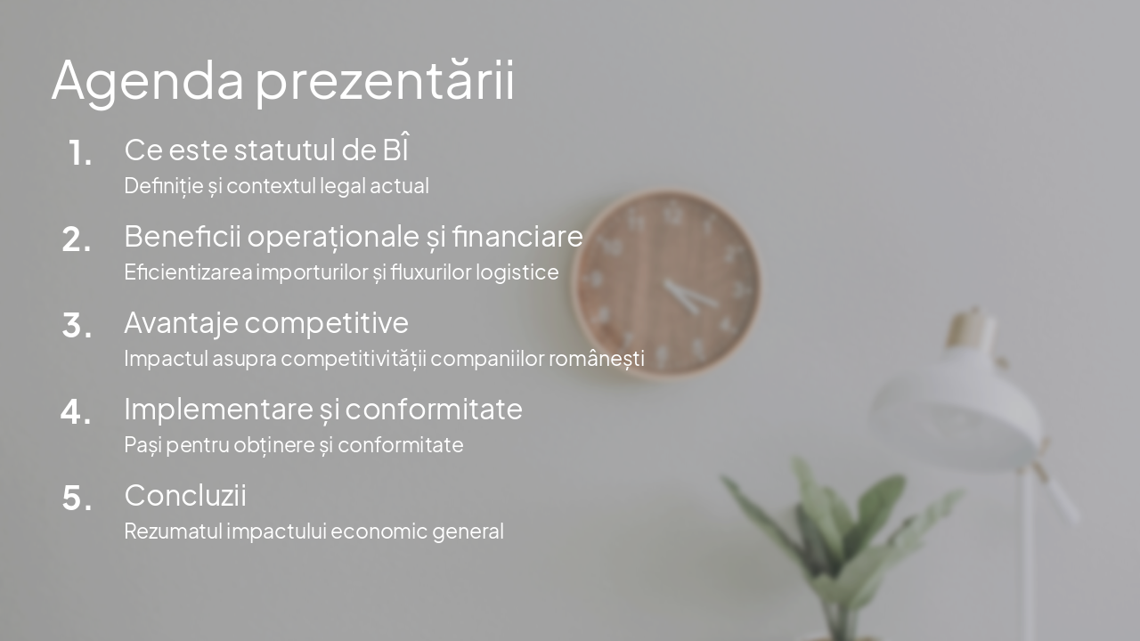 Slide 5 - Agenda prezentării