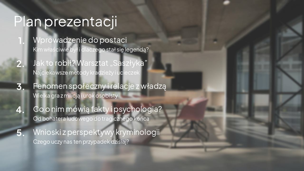 Slide 2 - Plan prezentacji