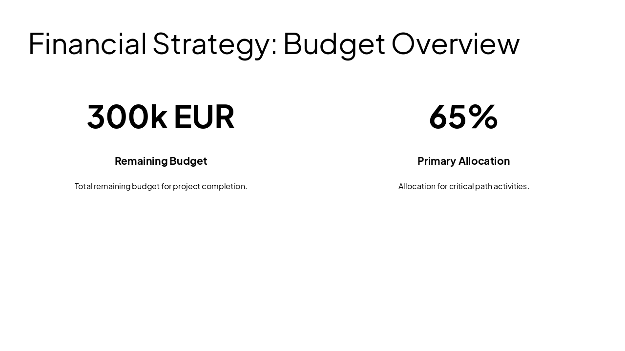 Slide 8 - Financial Strategy: Budget Overview