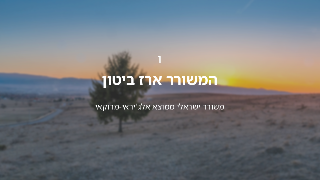 Slide 3 - הקדמה למשורר