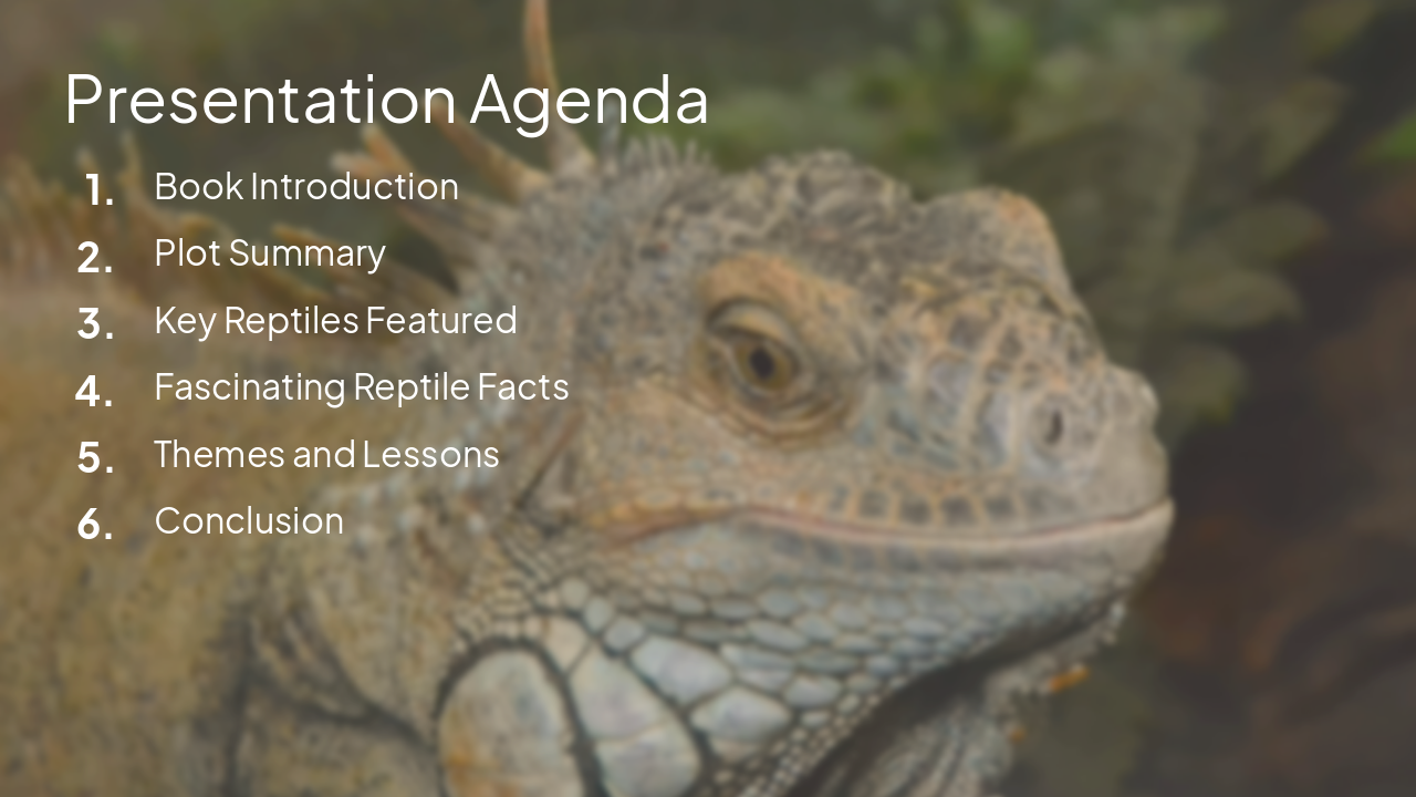 Slide 2 - Presentation Agenda