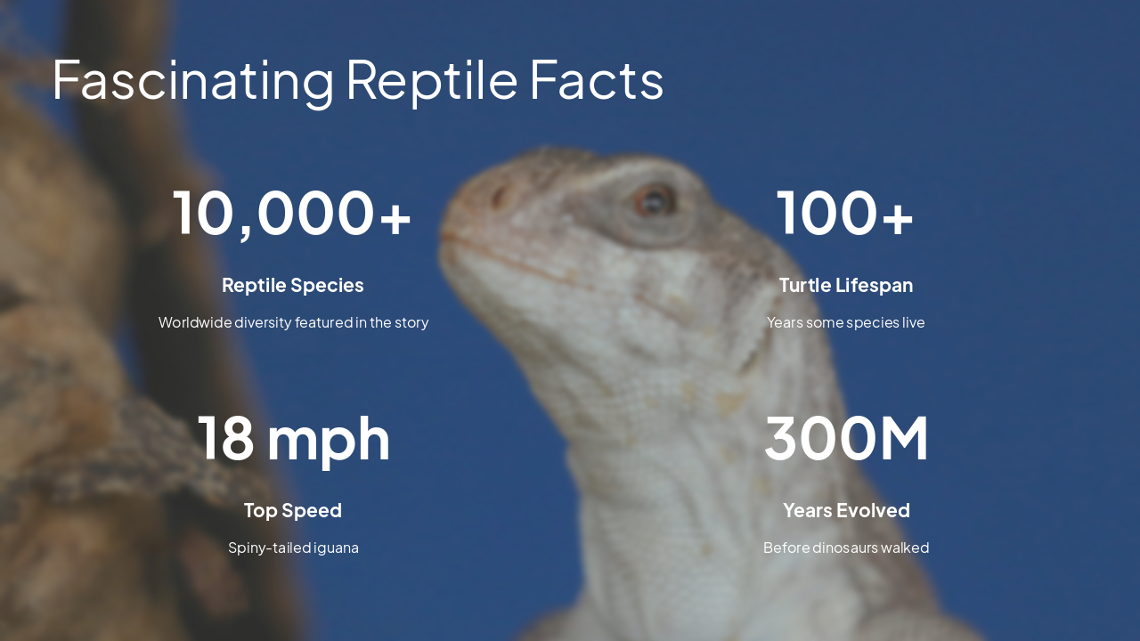 Slide 7 - Fascinating Reptile Facts