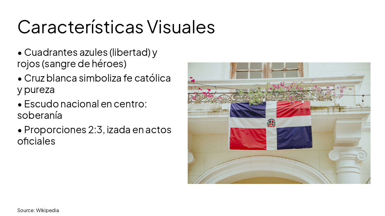 Slide 4 - Características Visuales