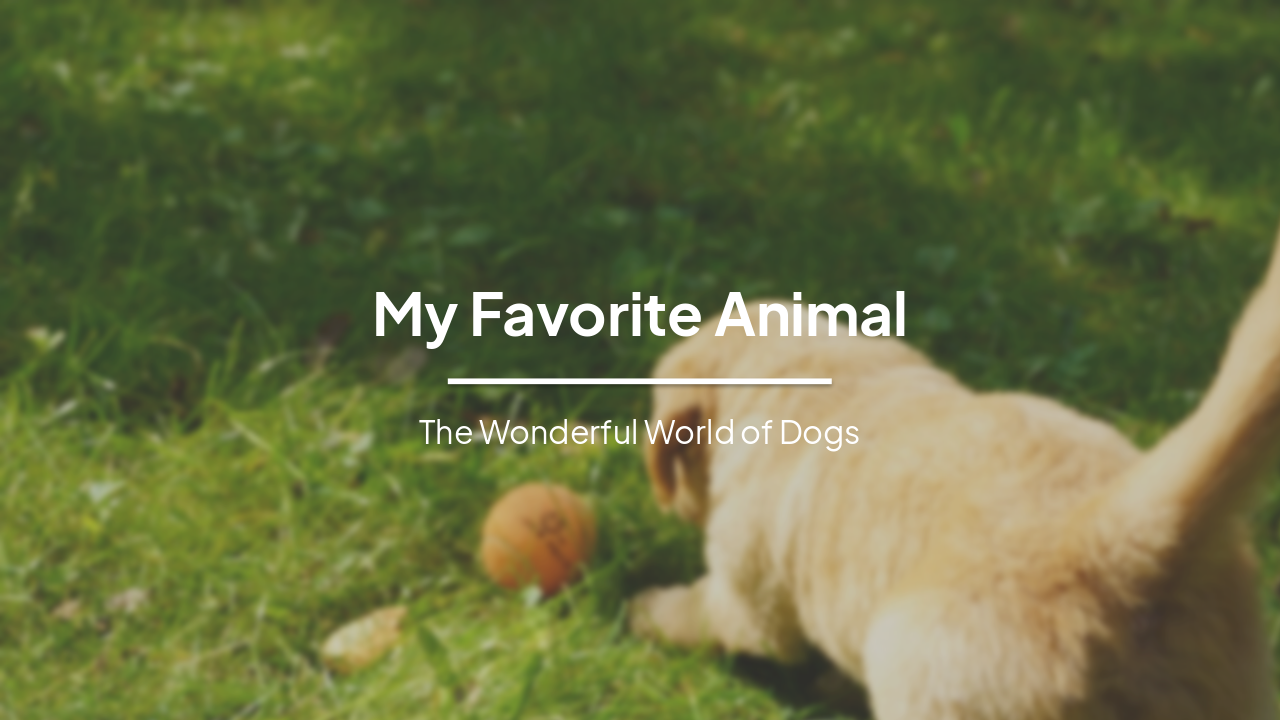 The Wonderful World of Dogs: My Favorite Animal