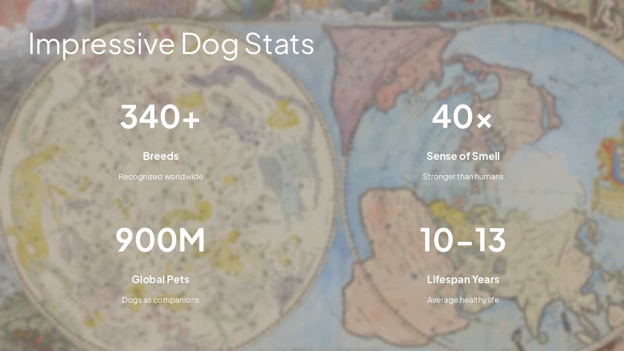 Slide 4 - Impressive Dog Stats