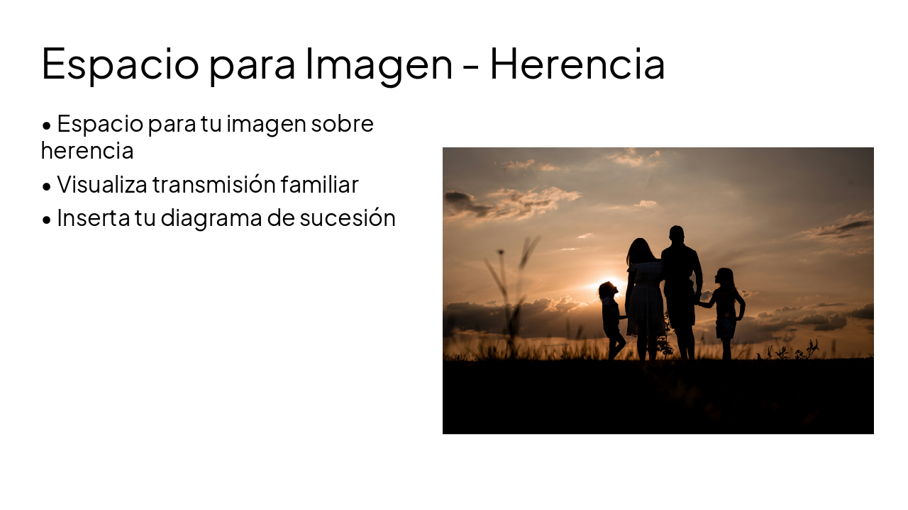 Slide 10 - Espacio para Imagen - Herencia