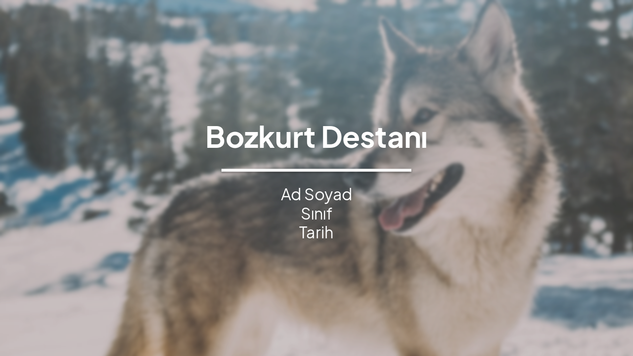 Bozkurt Destanı