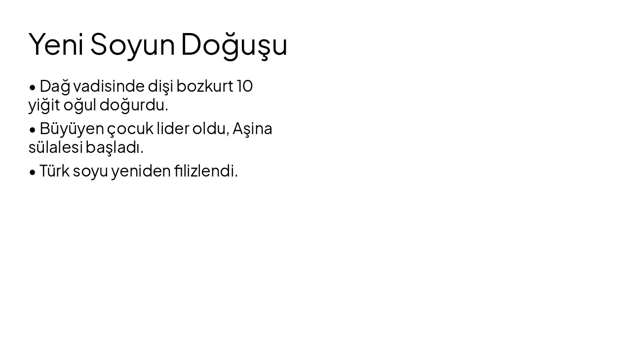 Slide 6 - Yeni Soyun Doğuşu