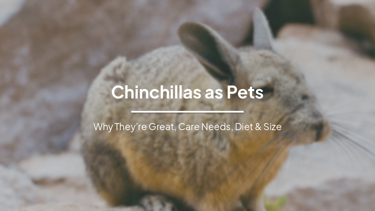 Chinchillas as Pets: Benefits, Characteristics, Diet, and Care Guide