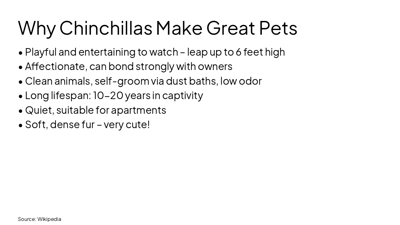 Slide 3 - Why Chinchillas Make Great Pets