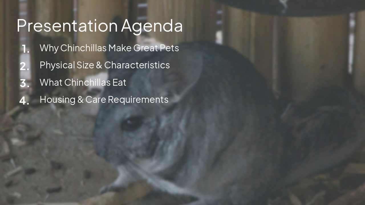 Slide 2 - Presentation Agenda