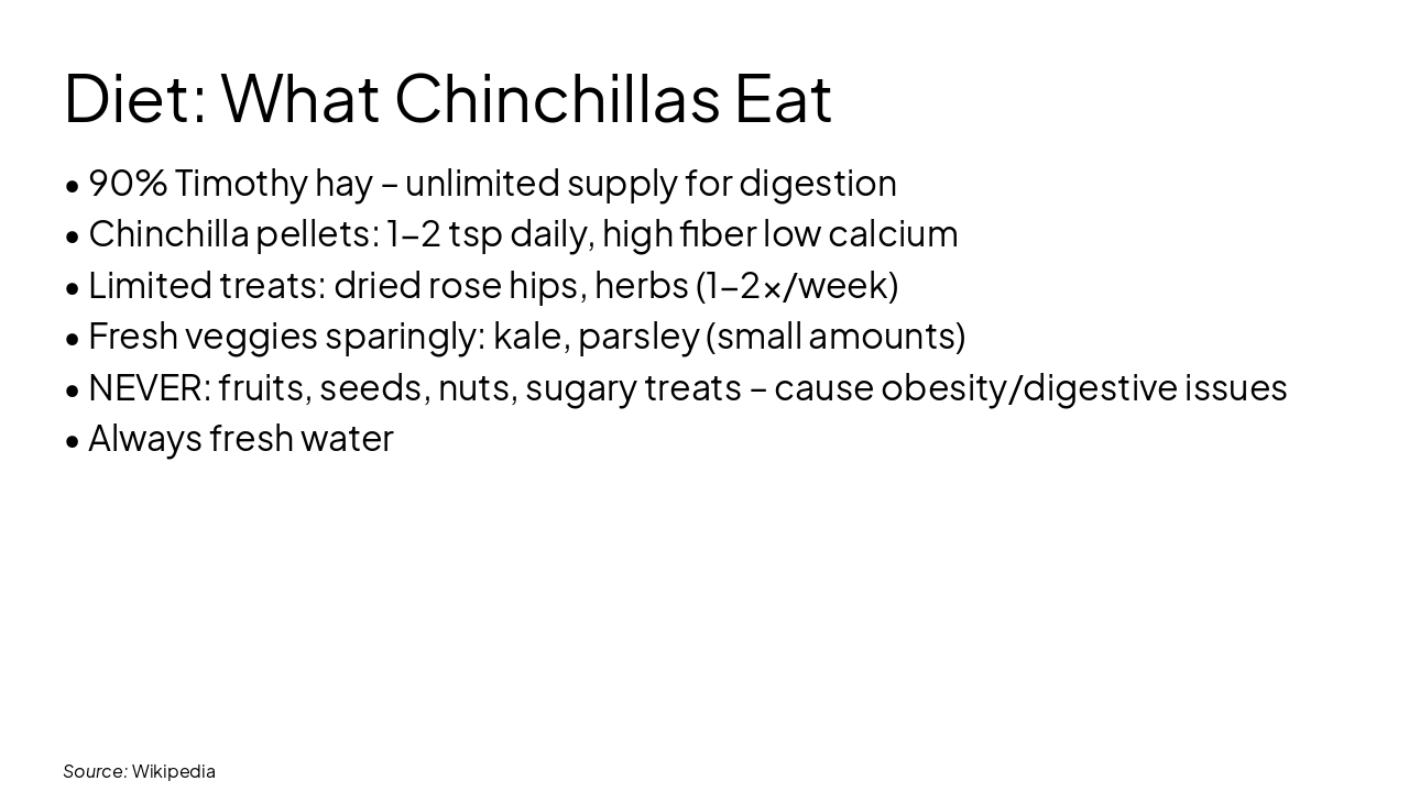 Slide 6 - Diet: What Chinchillas Eat