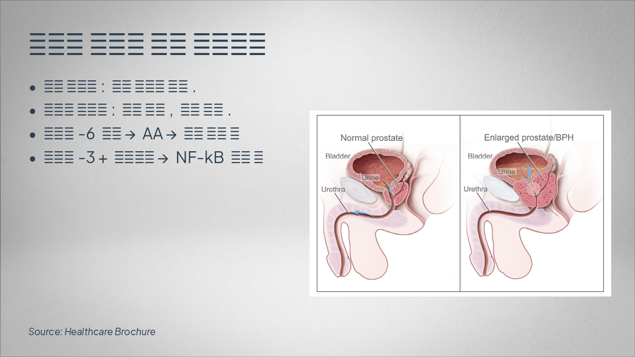 Slide 1 - 전립선 비대증 치유 브로슈어