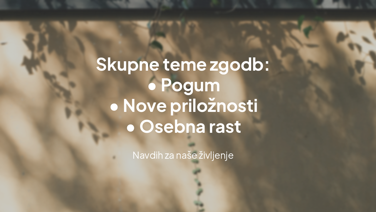 Slide 9 - Zaključek