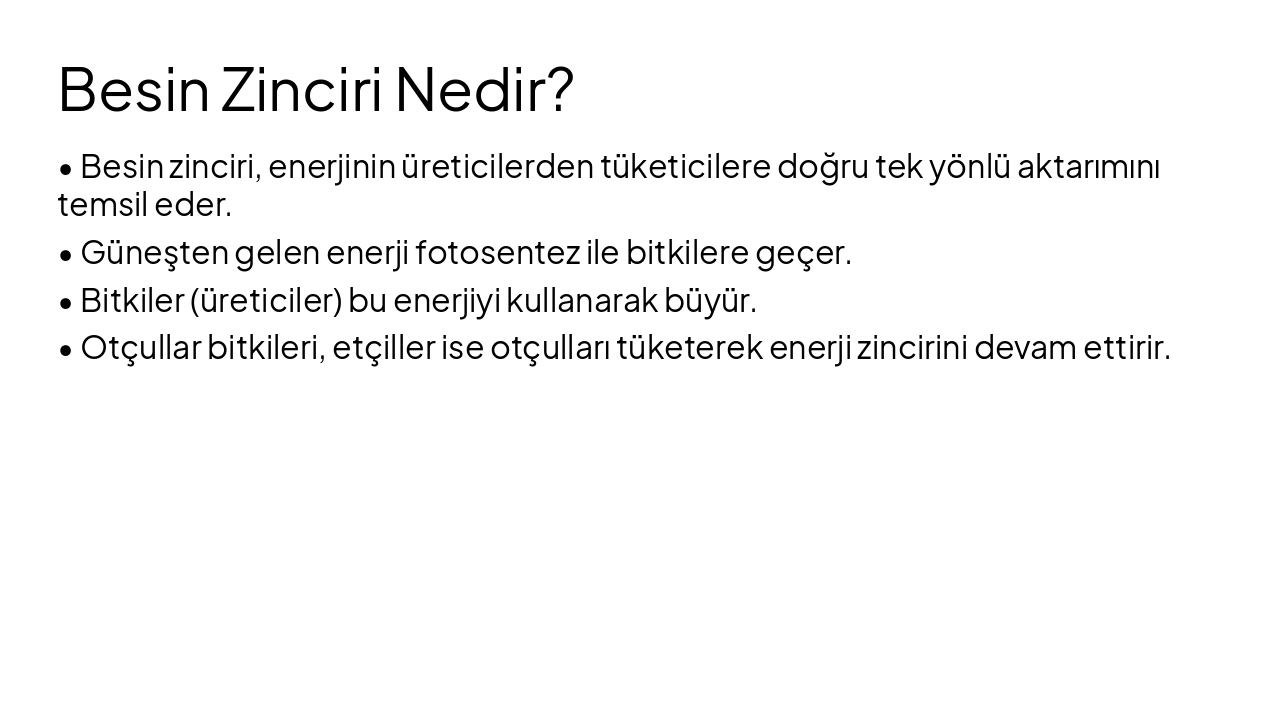 Slide 4 - Besin Zinciri Nedir?