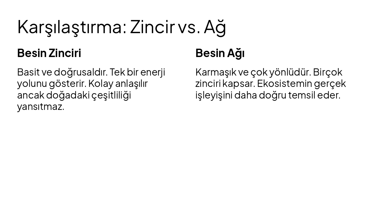 Slide 7 - Karşılaştırma: Zincir vs. Ağ