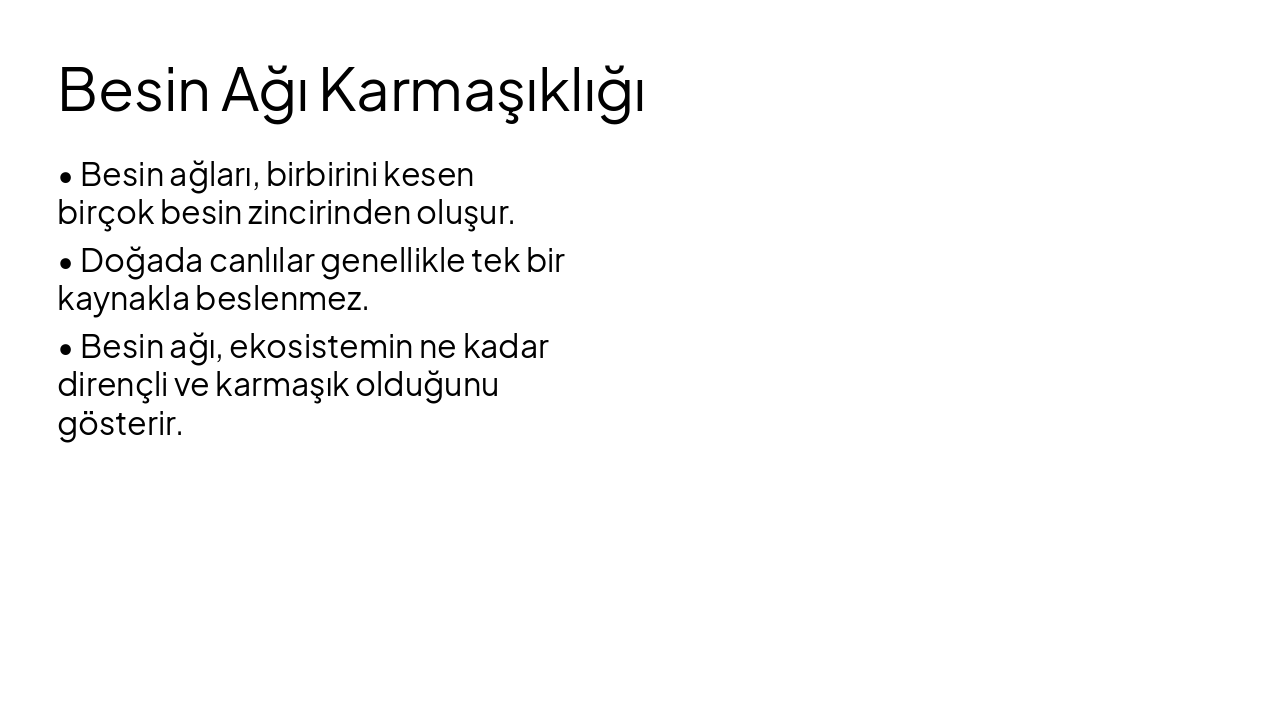 Slide 6 - Besin Ağı Karmaşıklığı