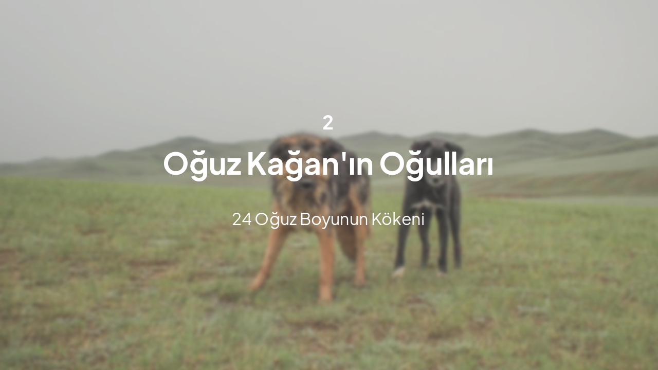 Slide 7 - Oğullar ve Boylar