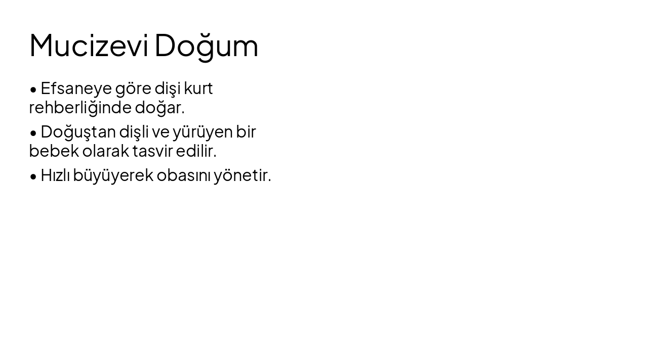 Slide 5 - Mucizevi Doğum