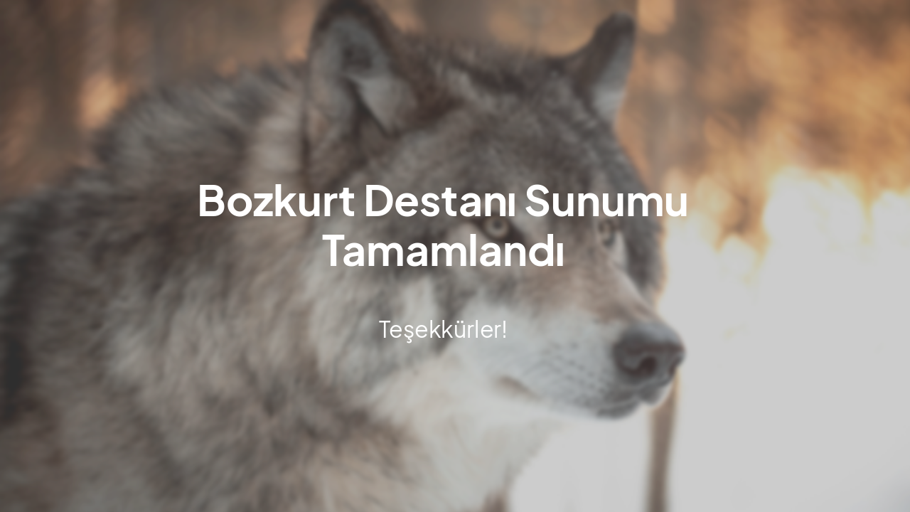 Slide 24 - Teşekkürler