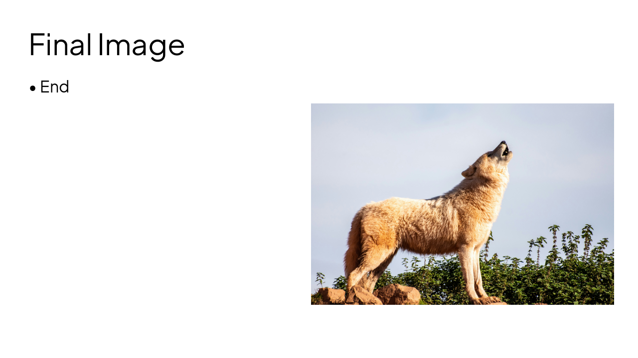 Slide 15 - Final Image