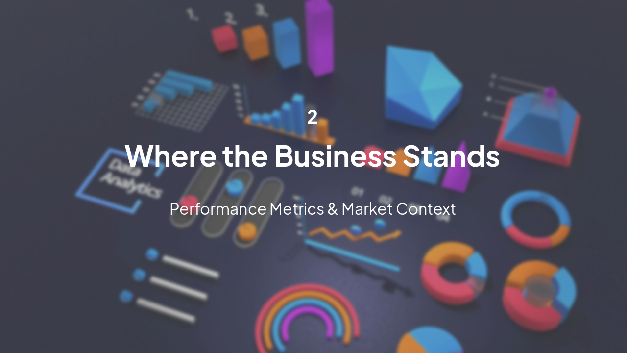 Slide 5 - Where the Business Stands