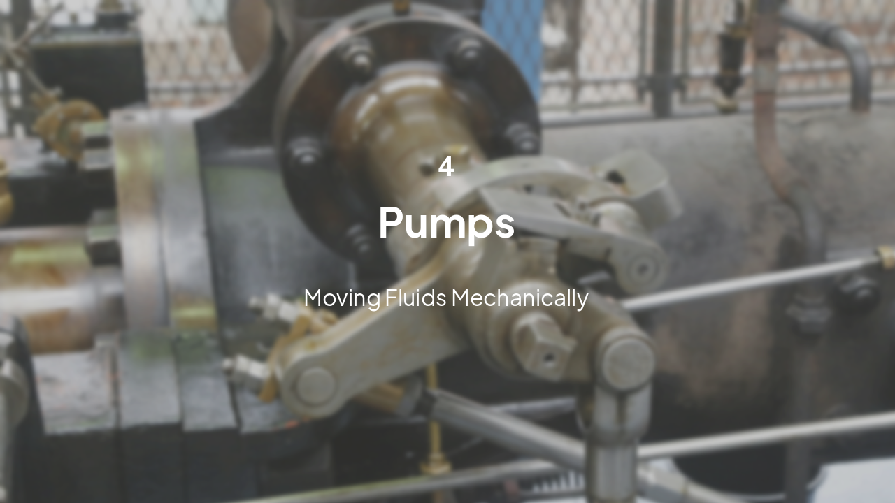 Slide 11 - Section 4