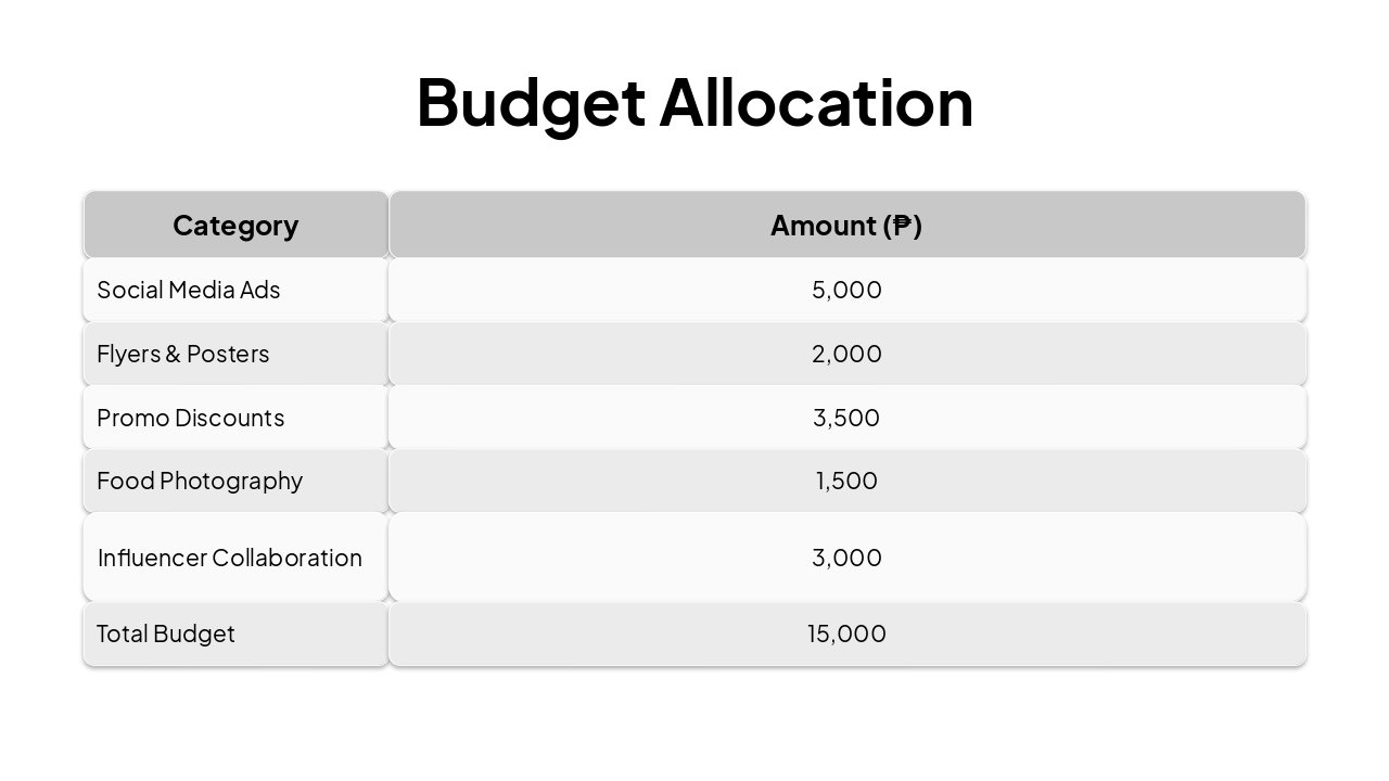 Slide 6 - Budget Allocation