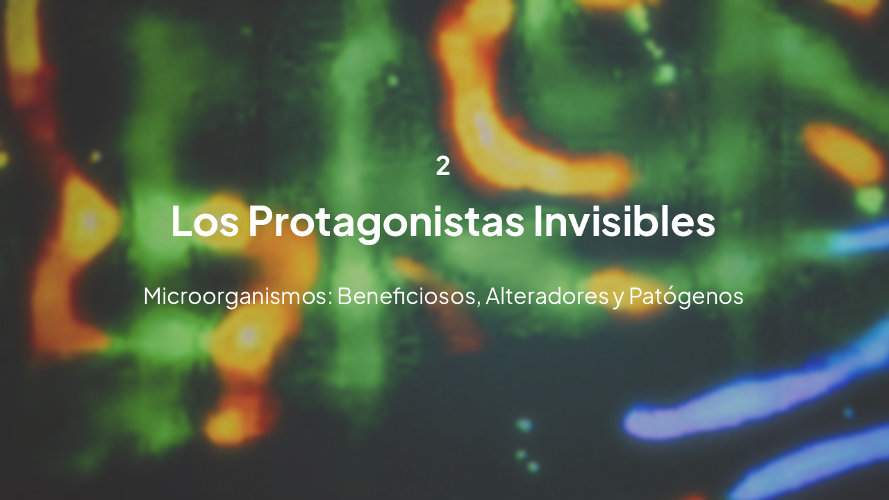 Slide 11 - Capítulo 2