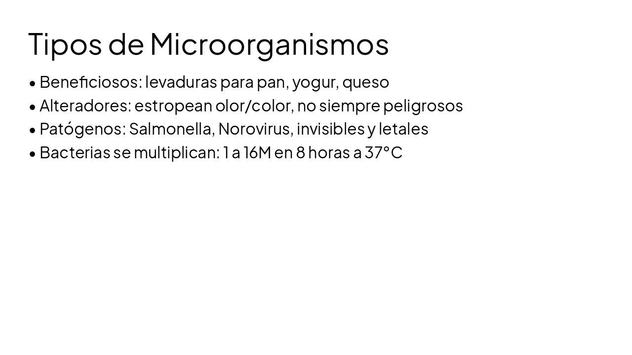 Slide 14 - Tipos de Microorganismos