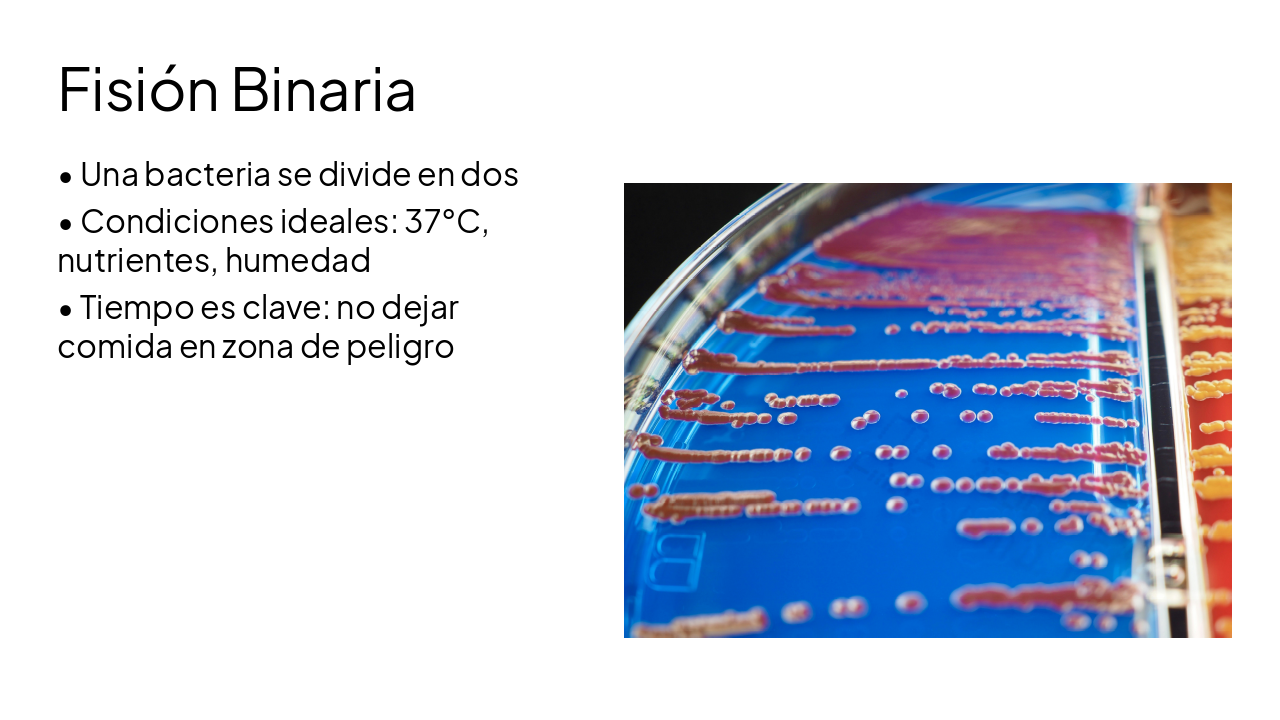 Slide 16 - Fisión Binaria