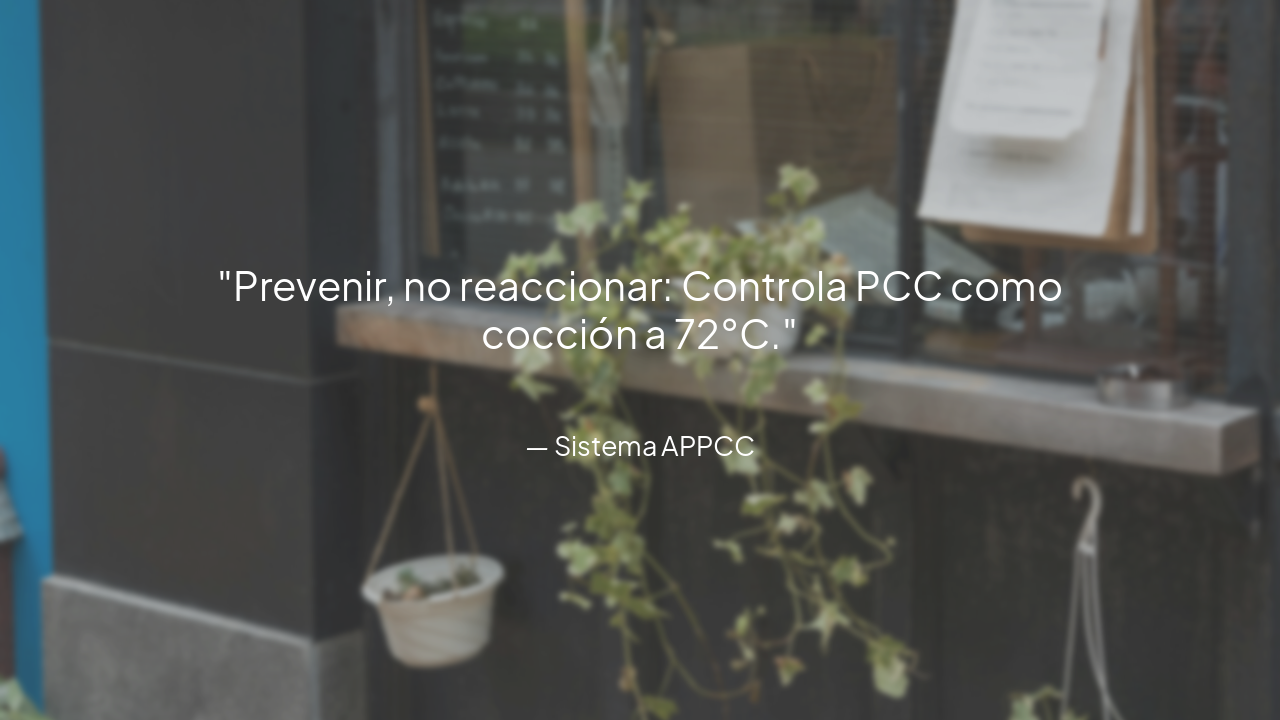 Slide 29 - Principio APPCC