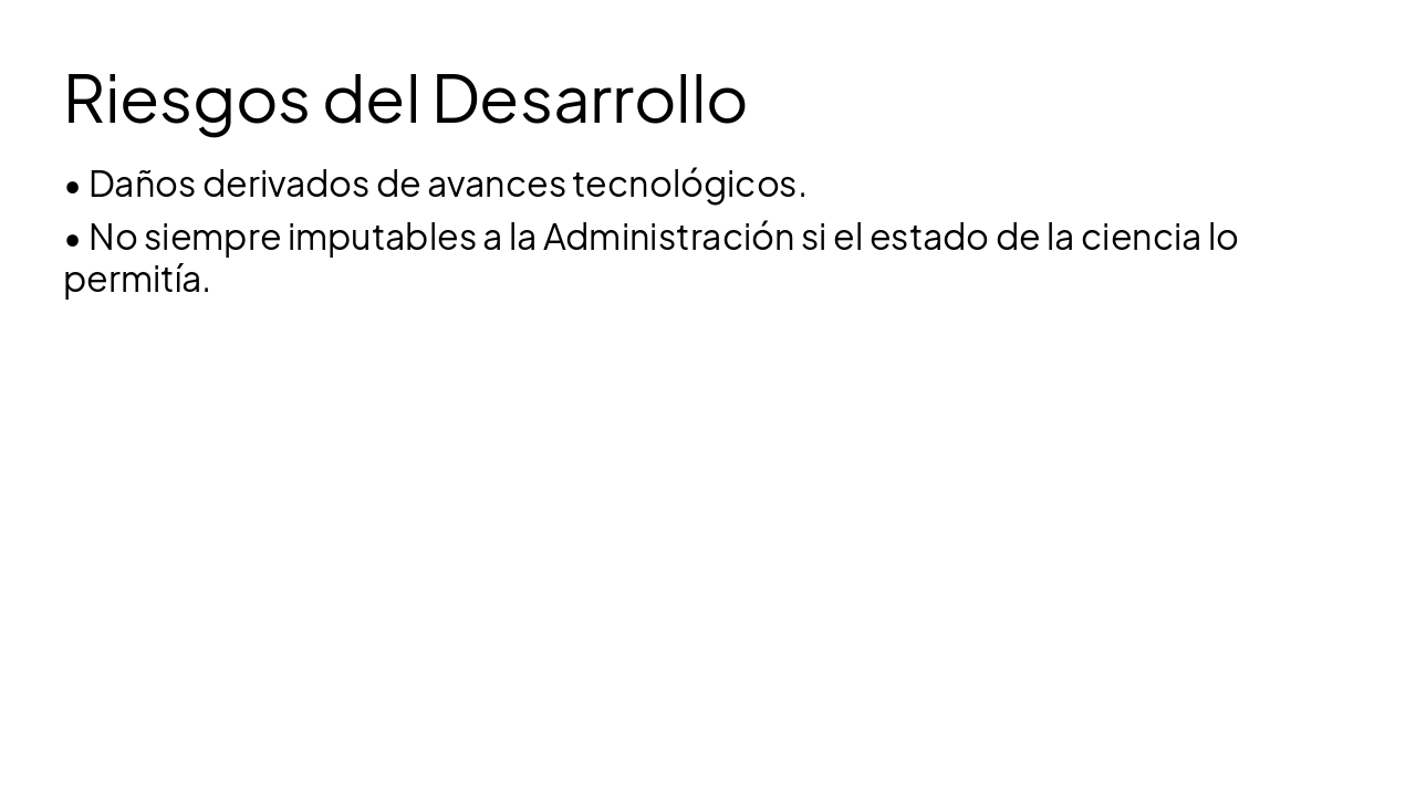 Slide 10 - Riesgos del Desarrollo