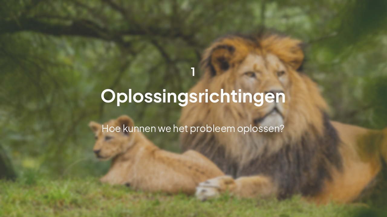 Slide 4 - Oplossingen