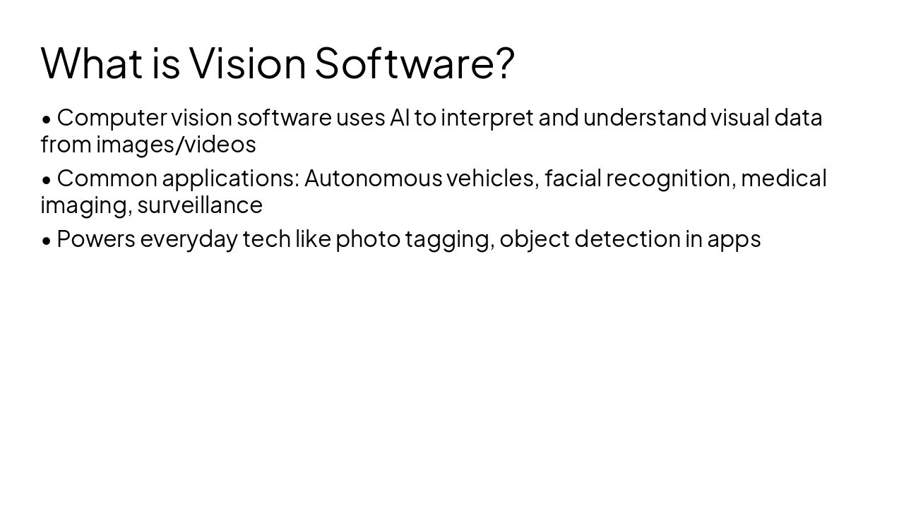 Slide 4 - What is Vision Software?