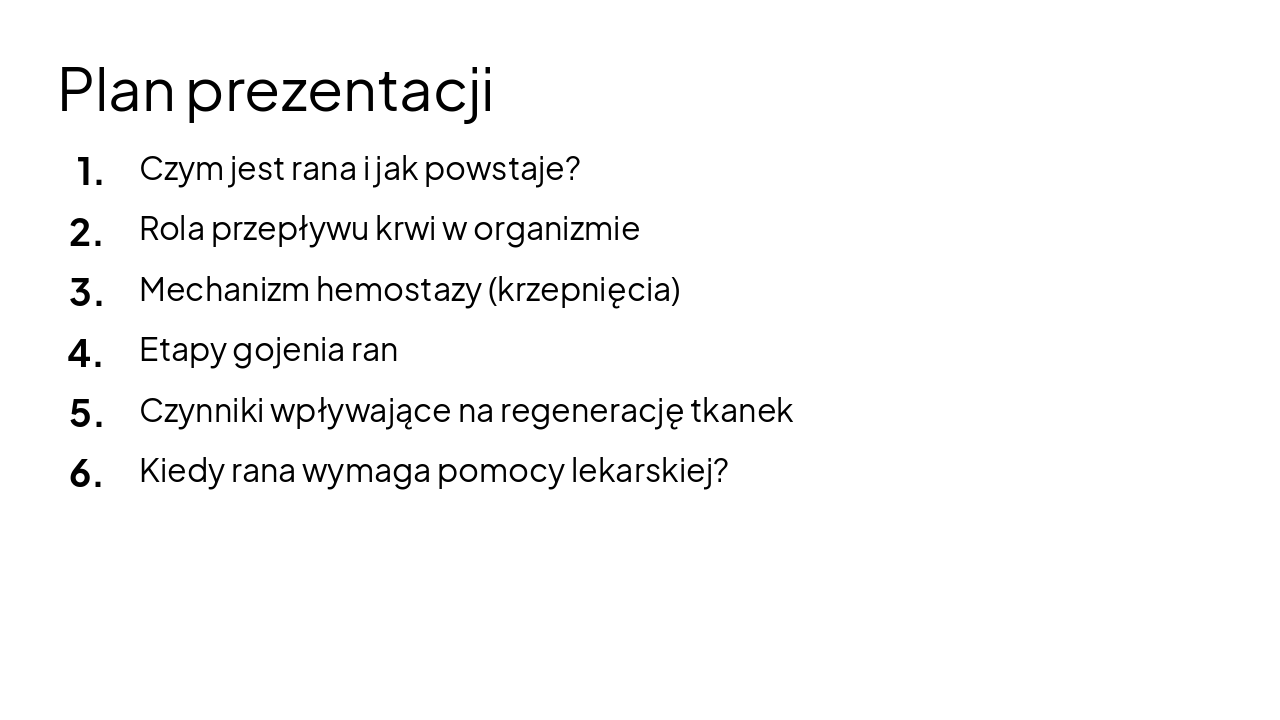 Slide 2 - Plan prezentacji