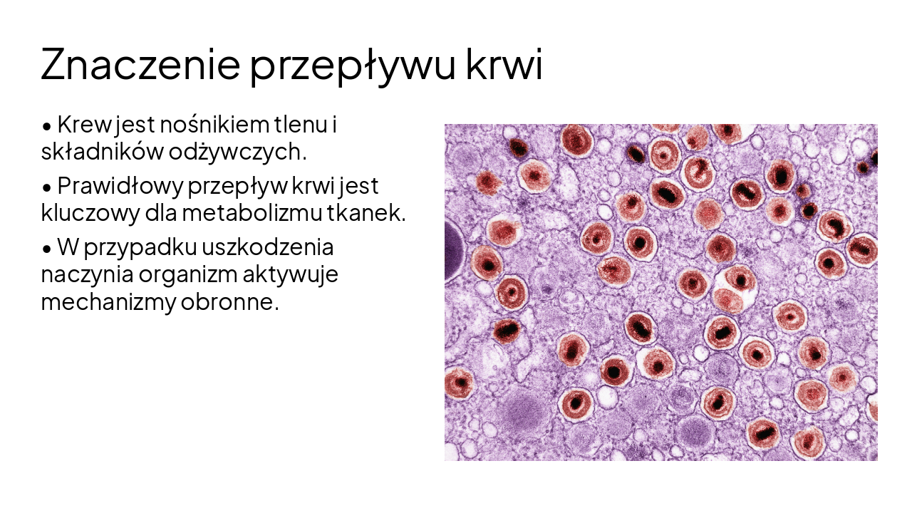 Slide 3 - Znaczenie przepływu krwi