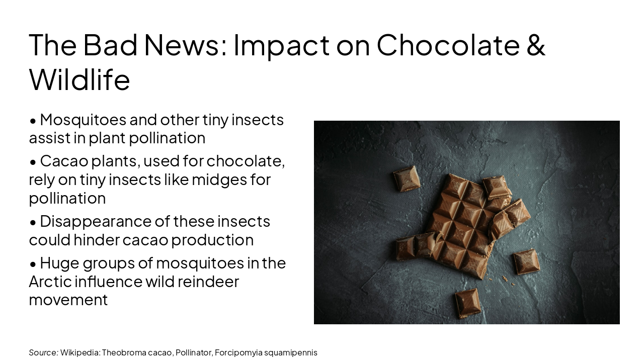 Slide 6 - The Bad News: Impact on Chocolate & Wildlife