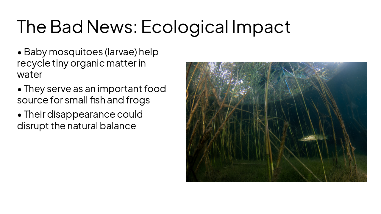 Slide 5 - The Bad News: Ecological Impact