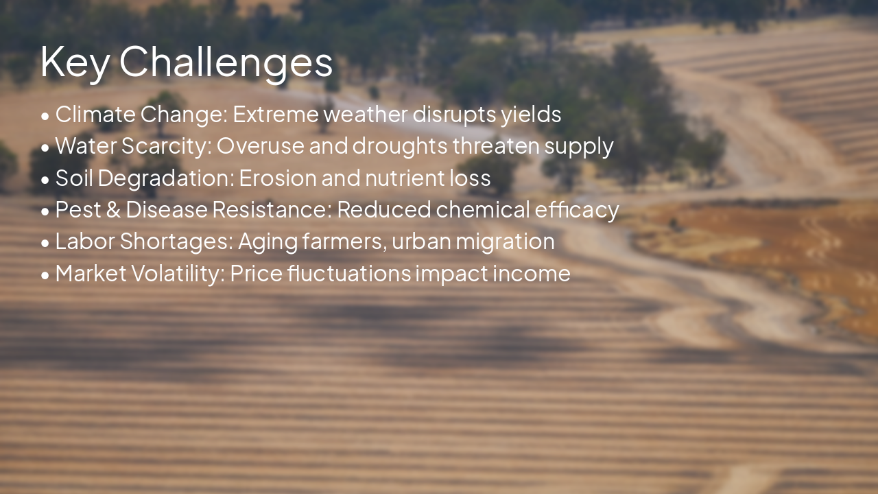 Slide 11 - Key Challenges