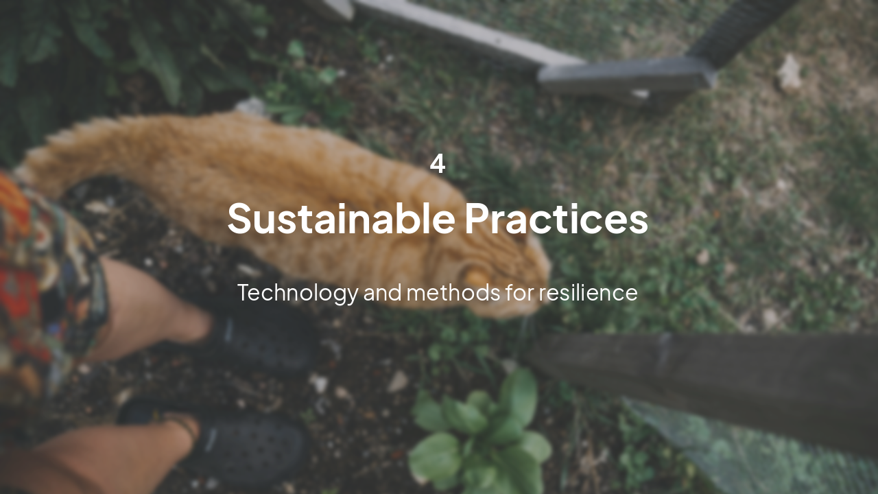 Slide 13 - Innovative Sustainable Solutions